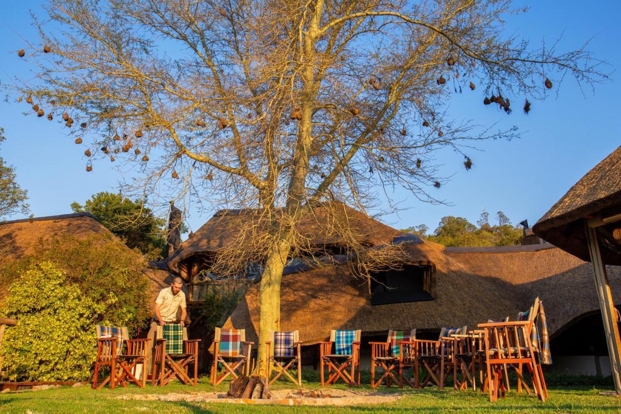 Lalibela Game Reserve Mark'S Camp Grahamstown Exterior photo