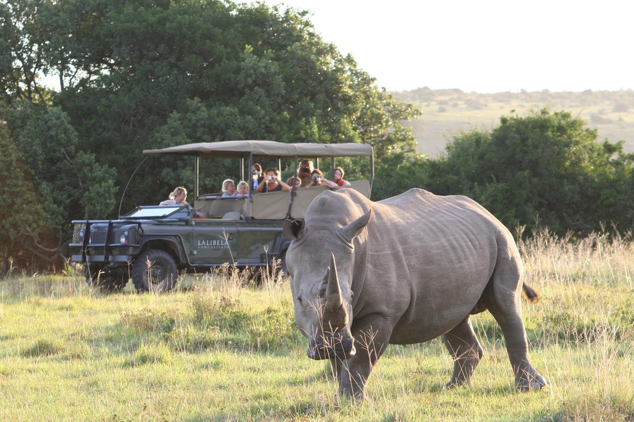 Lalibela Game Reserve Mark'S Camp Grahamstown Exterior photo