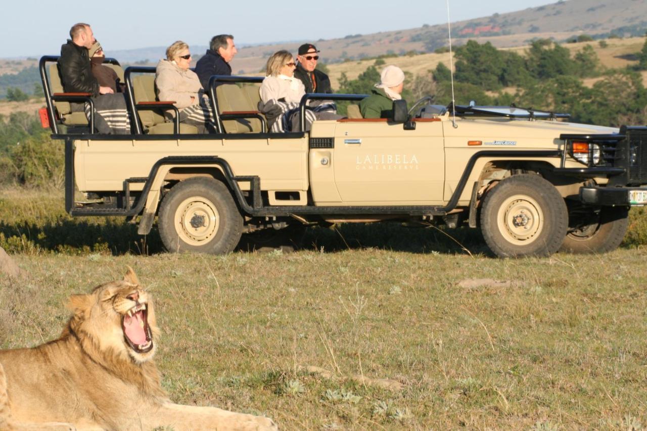 Lalibela Game Reserve Mark'S Camp Grahamstown Exterior photo